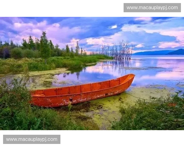 李洁vs佐藤:东西方美学巅峰对决,一场关于“美”的深度对话